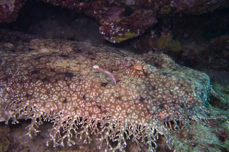 13-10-2014_20_42_08 08.jpg