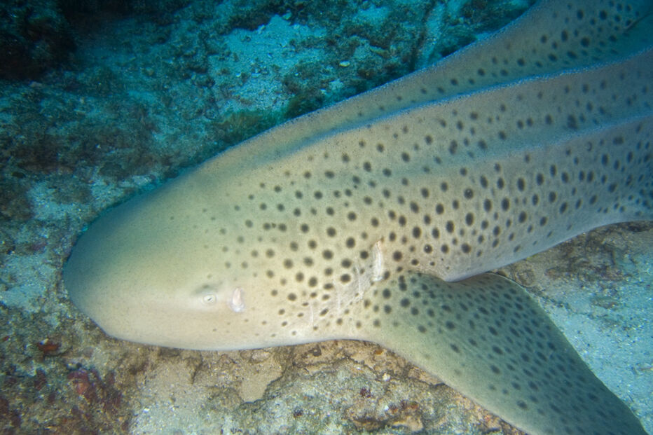 13-10-2014_20_42_18 09.jpg