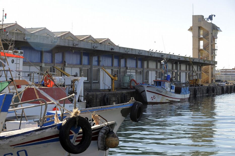 13-10-2014_22_53_10 13 algarve lota.jpg