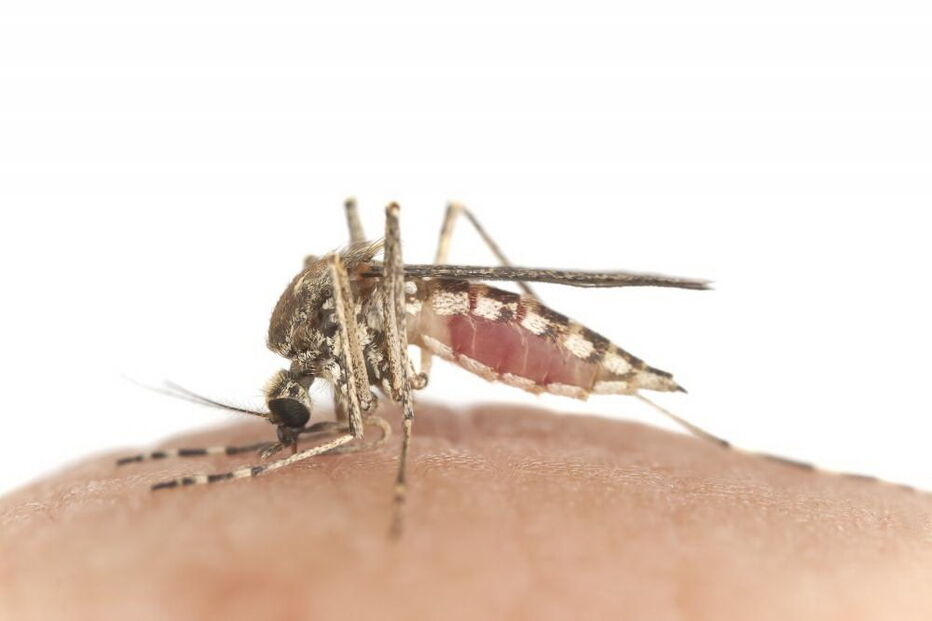 Malária já matou 1.800 pessoas em Burundi, África