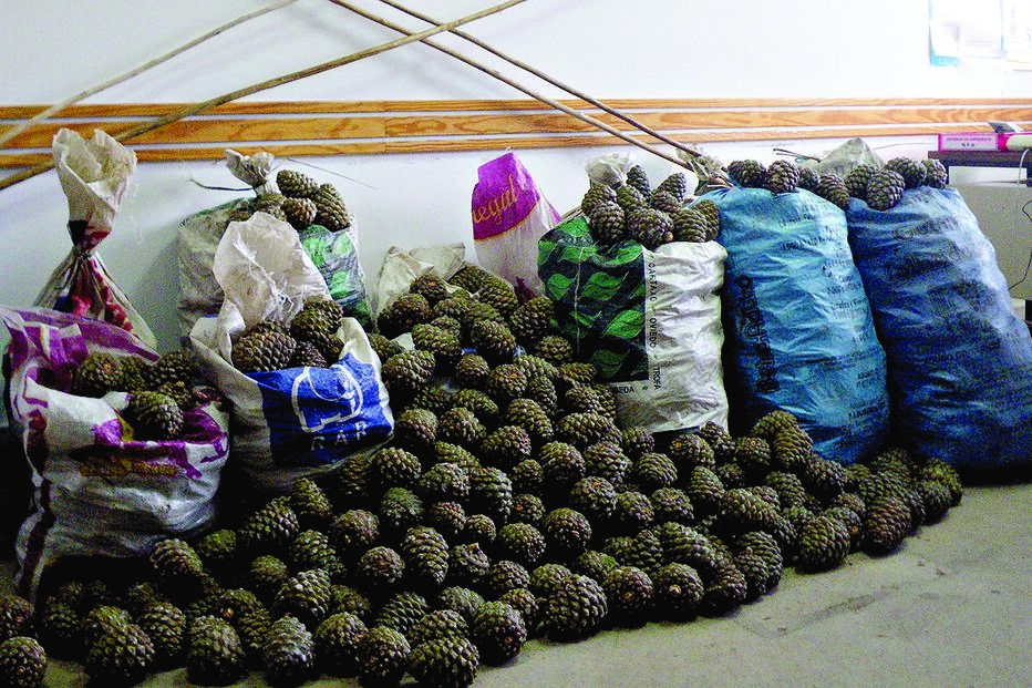 25-10-2014_23_40_49 14.jpg