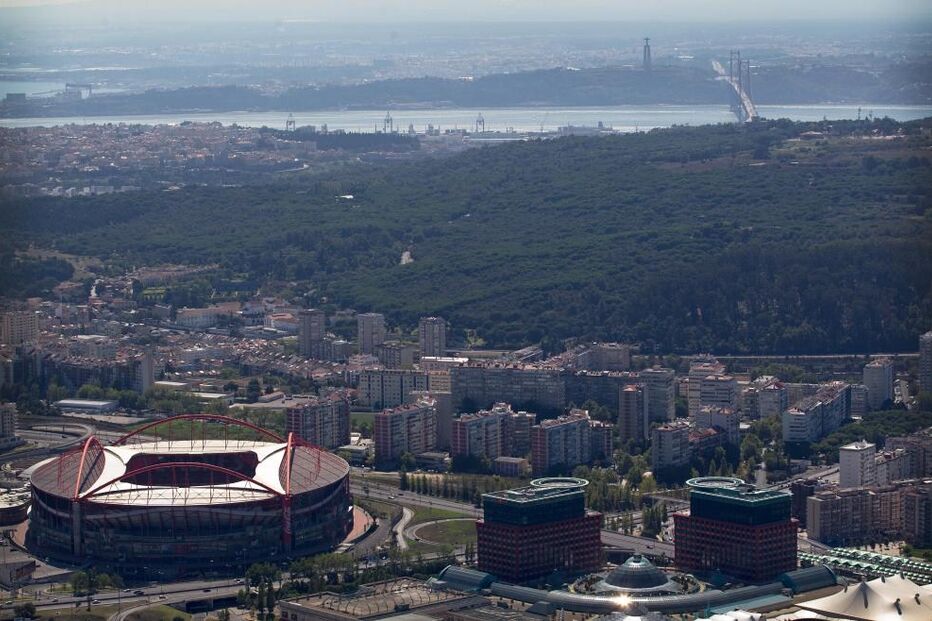 Monsanto, Parque Florestal, Quercus