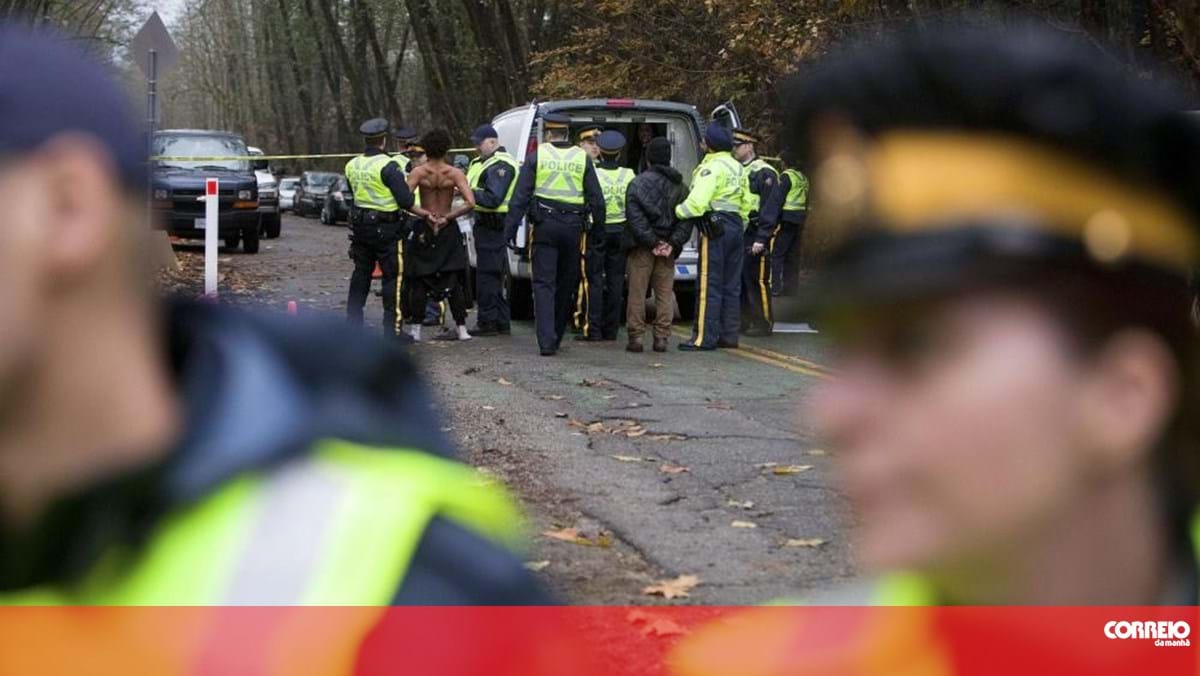 Ten people died as a result of stab wounds in Canada