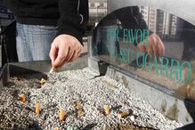 Tabaco, cinzeiro, beatas, fumador