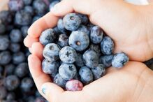 10-11-2014_10_26_15 3-mirtilos.jpg