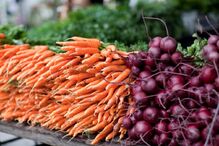 10-11-2014_10_26_38 7-raiz.jpg