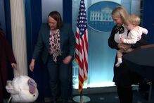 Peru perdoado por Trump deu o ar da sua graça na sala de imprensa da Casa Branca 