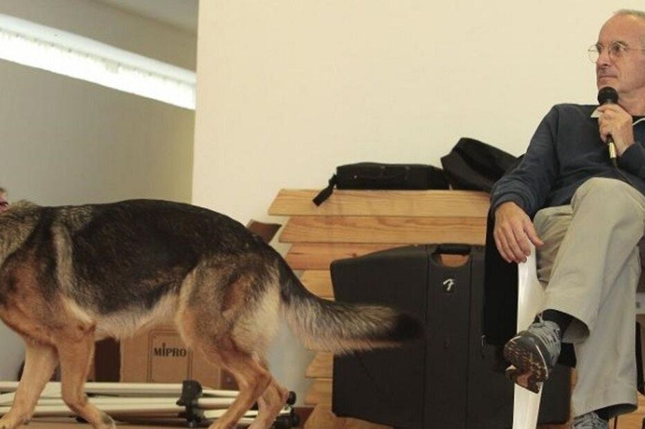 comportamento animal, seminário, roger abrantes, torres vedras