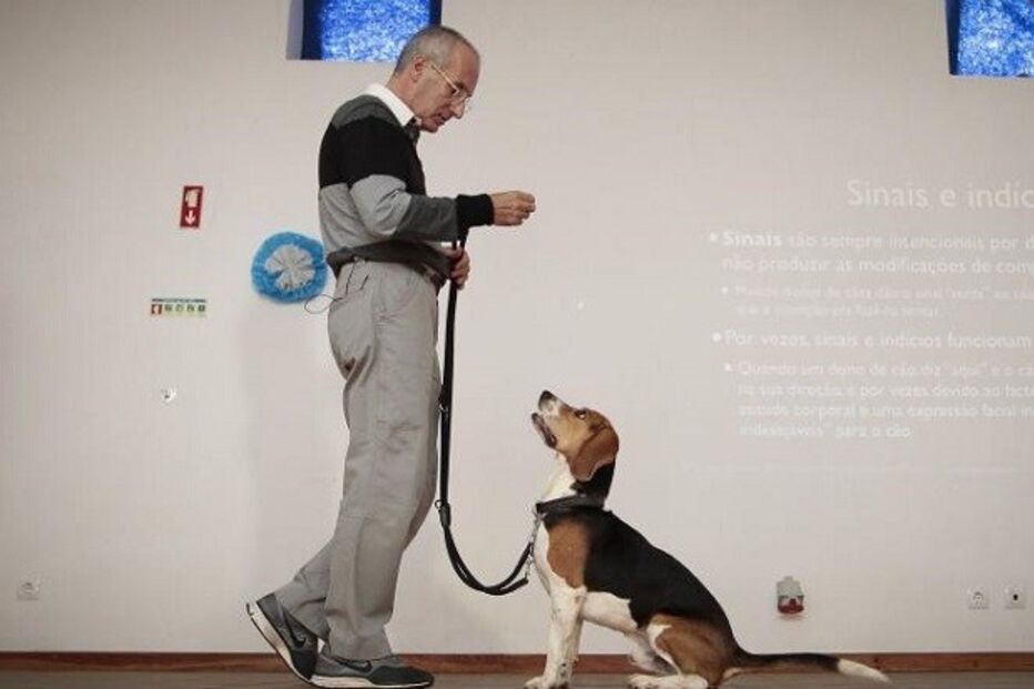 comportamento animal, seminário, roger abrantes, torres vedras