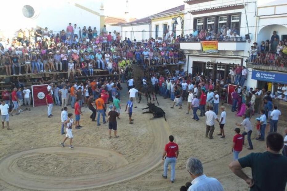 tourada, barrancos, touros