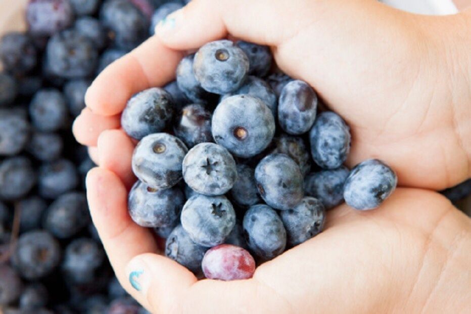 10-11-2014_10_26_15 3-mirtilos.jpg