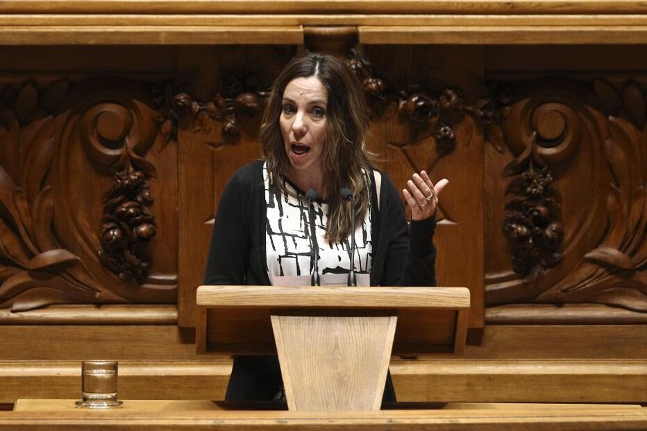 Heloísa Apolónia, deputada, Os Verdes