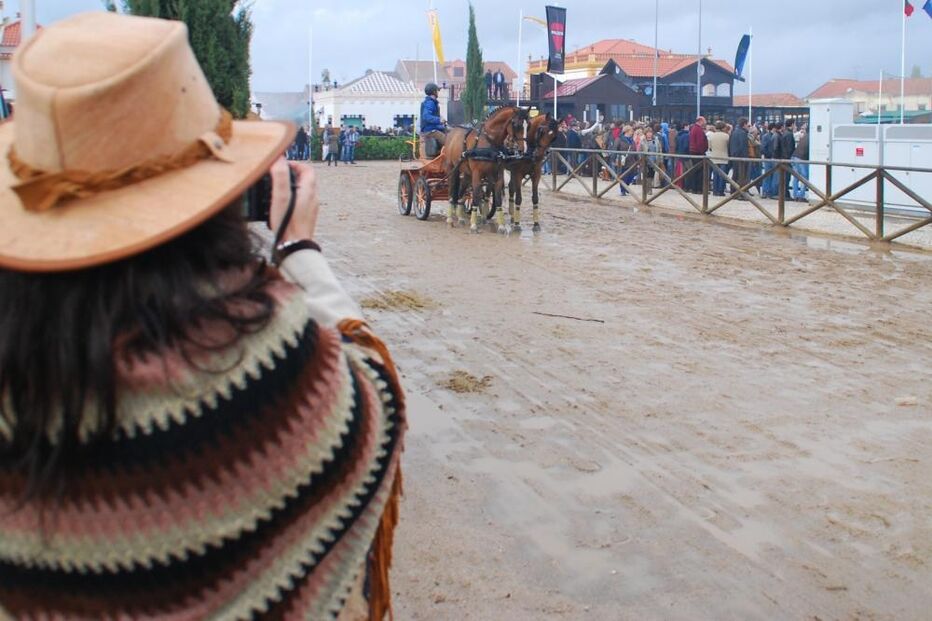 16-11-2014_00_27_37 9203051.JPG