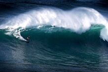 10-12-2014_17_16_52 2011 Miguel Barreira.JPG