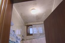 Rui Silva, Armando Silva