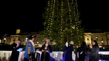 Árvore natalícia da Noruega ilumina a Trafalgar Square em Londres