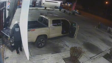 Ladrões invadem barbearia com carrinha e roubam gato de estimação  