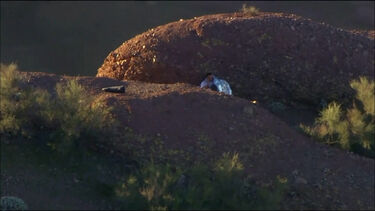 Homem é resgatado após ficar preso durante a noite num trilho no meio das montanhas nos EUA