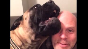 Quer aliviar dores rapidamente? Conheça a terapia de Bowen