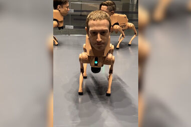 Zuckerberg, Musk e Bezos transformados em cães-robô em instalação artística 