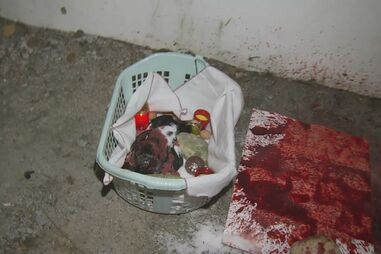 Bruxaria na cadeia de Évora