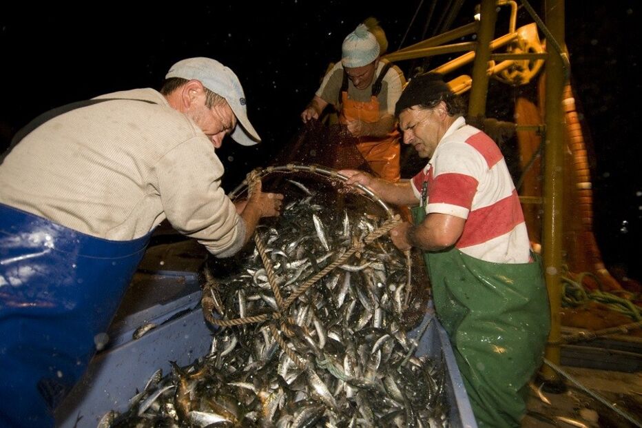07-12-2014_21_45_07 22 sardinha.jpg