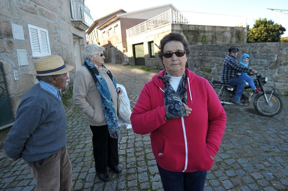 07-12-2014_23_45_36 11 caes.jpg