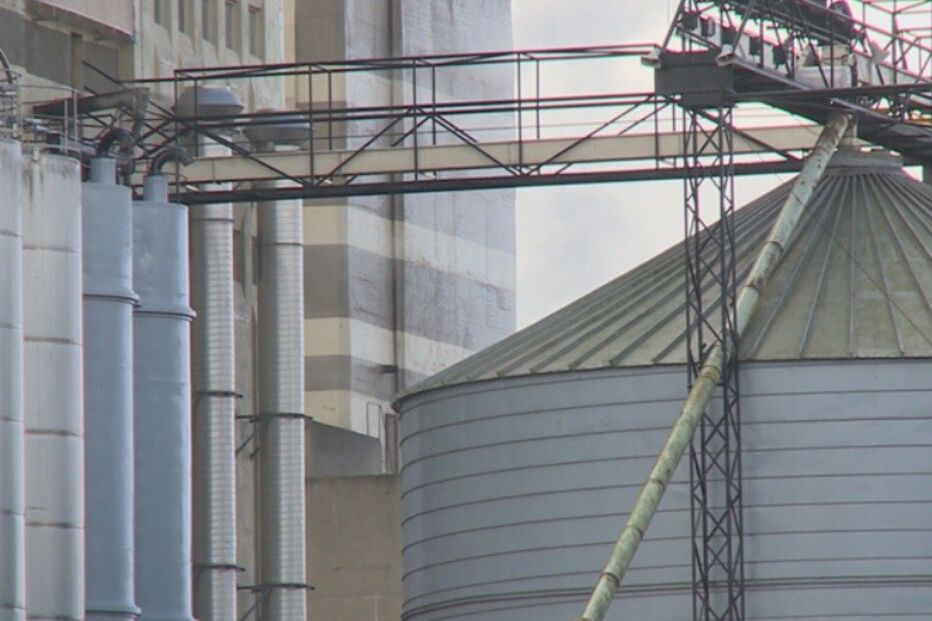 11-12-2014_15_45_05 leg.jpg