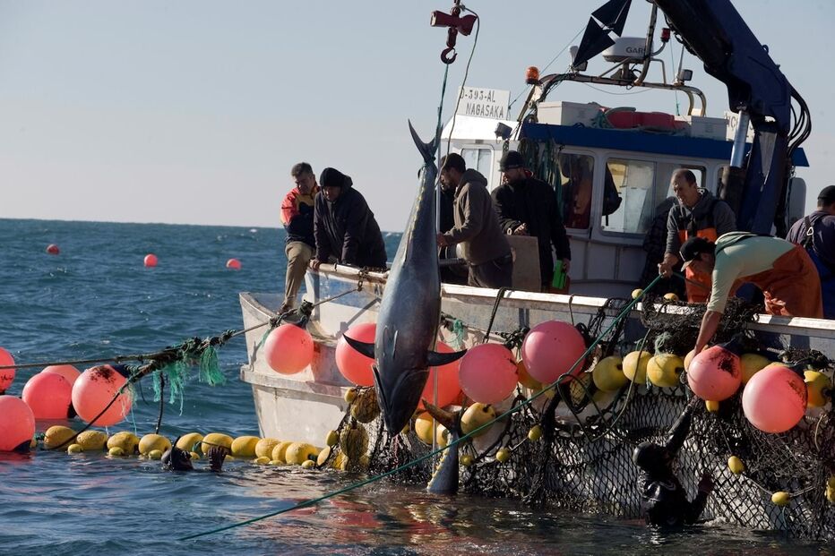 15-12-2014_23_47_52 11 alg coreanos enchem.jpg