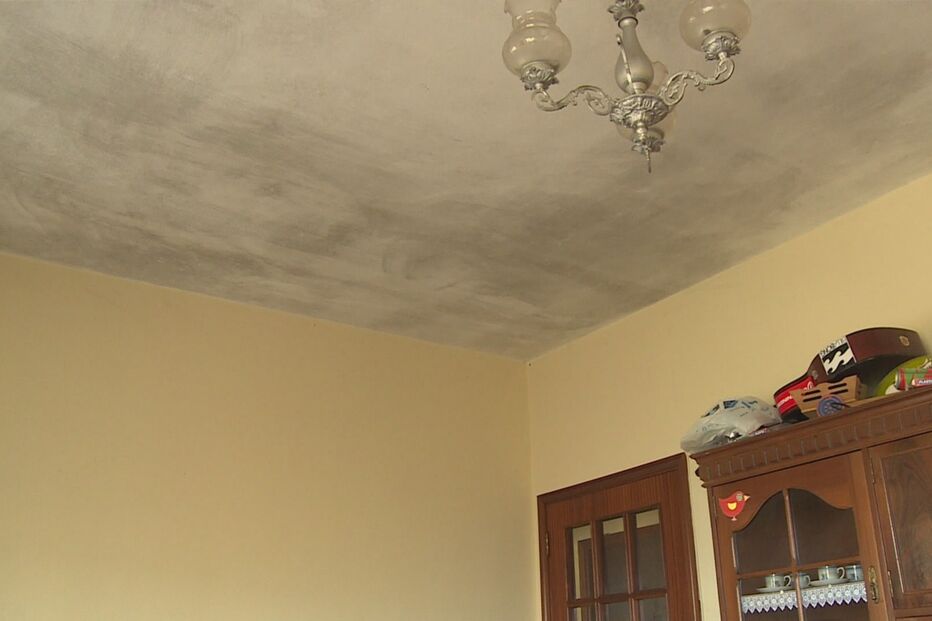 Rui Silva, Armando Silva