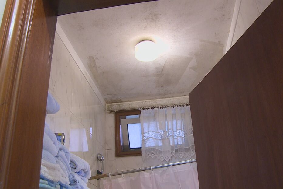 Rui Silva, Armando Silva