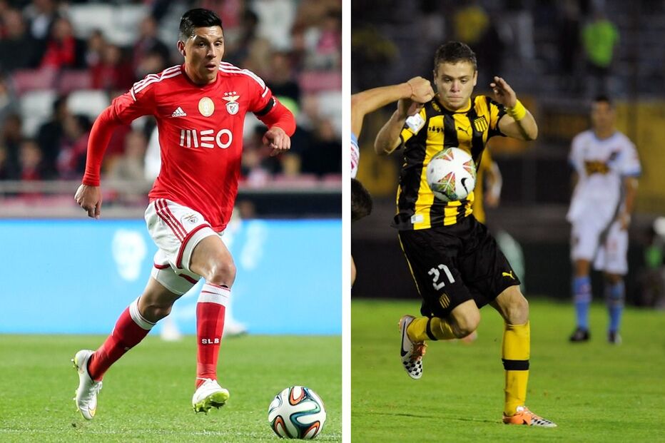 19-12-2014_22_16_19 33 benfas.jpg