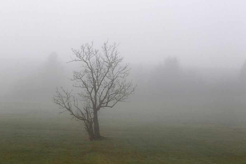 Instituto Português do Mar e da Atmosfera, IPMA, Vila Real, Bragança, Guarda, nevoeiro, meteorologia, previsão meteorológica