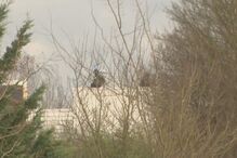 09-01-2015_17_08_39 00766A9E.jpg