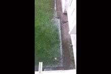 16-01-2015_18_44_29 pica1 Image24.jpg