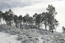 16-01-2015_19_49_25 10923596_10155060703530461_8404872705979294457_n.jpg