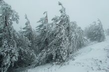 22-01-2015_21_58_00 leitor.JPG