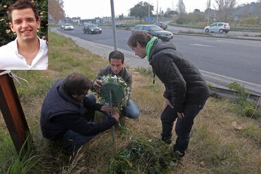 caçado, condutor, mata, foge, João Gomes, Citroën C3