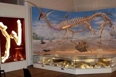 Museu Nacional do Brasil