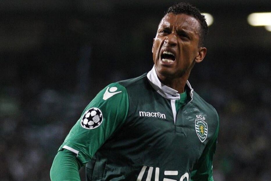 02-01-2015_02_05_52 6 nani.jpg