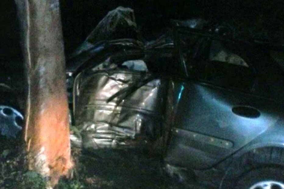 04-01-2015_19_38_53 9427439.JPG