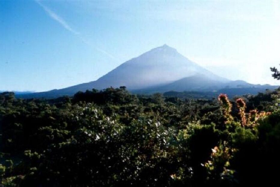 agricultor, morto, corpo, Pico, Açores, homicídio, caçadeira