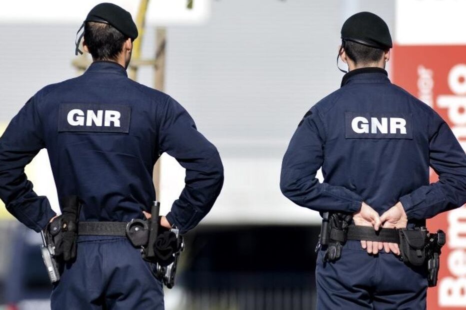 12-01-2015_12_22_35 9451463.JPG