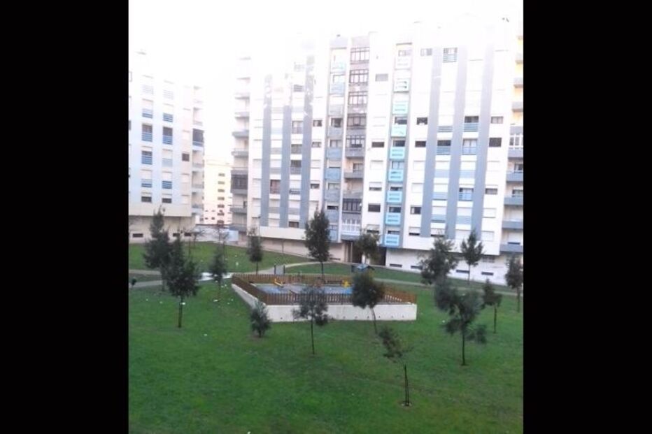 16-01-2015_18_44_35 pica2 Image24.jpg