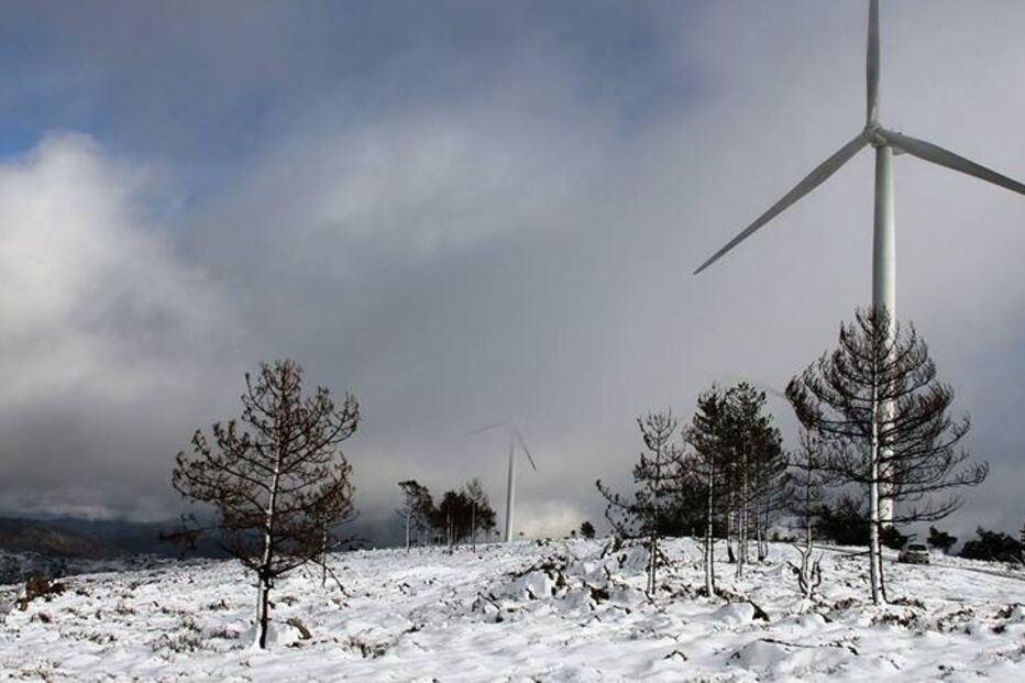 16-01-2015_19_49_09 1904233_925596697451804_7332291498947601709_n.jpg