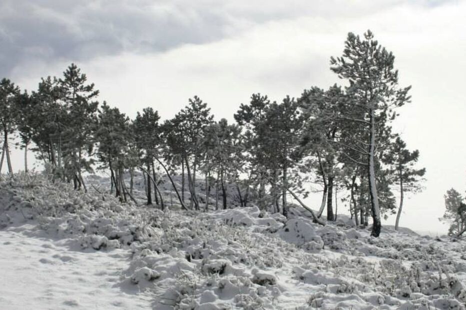 16-01-2015_19_49_25 10923596_10155060703530461_8404872705979294457_n.jpg