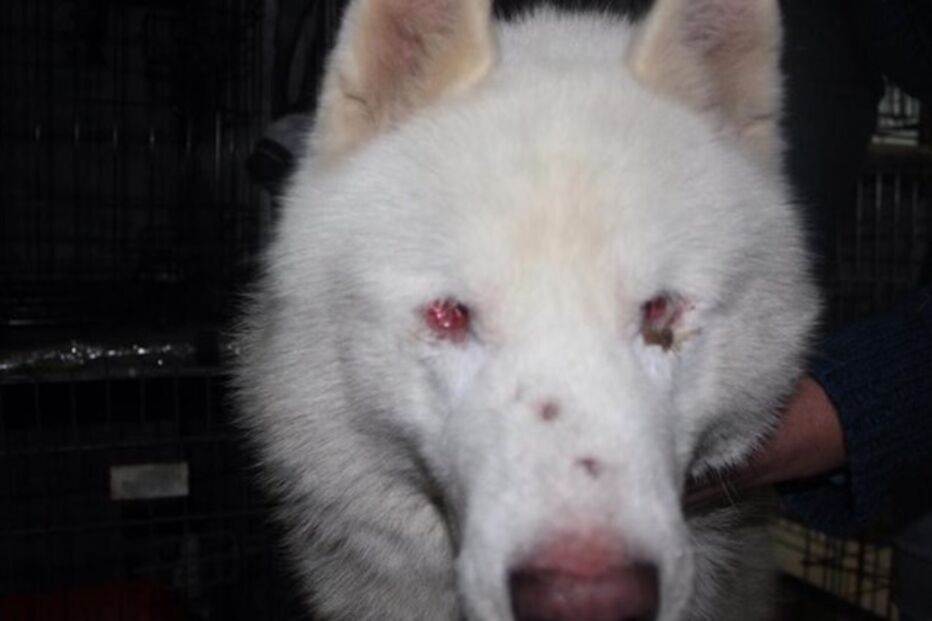 16-01-2015_20_17_58 img_757x426$2015_01_16_11_36_39_430175.jpg