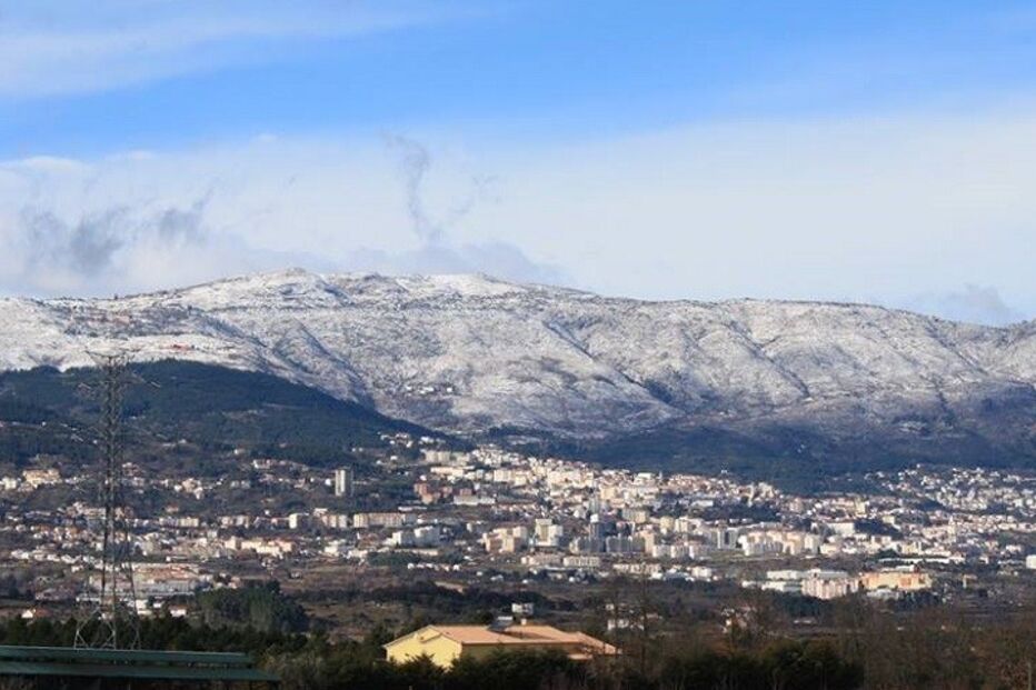 17-01-2015_13_58_50 1.jpg