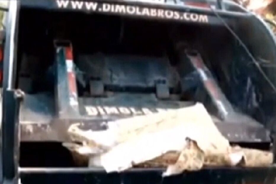 18-01-2015_19_46_07 3 - Mundo Louco -.jpg