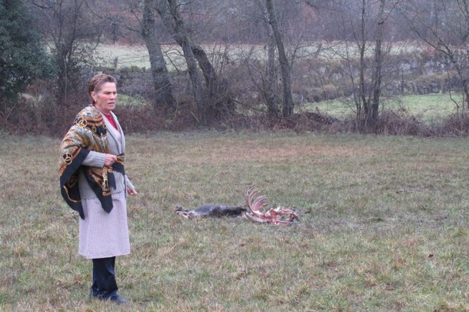 Lobos, atacam, aldeias, devoram, animais